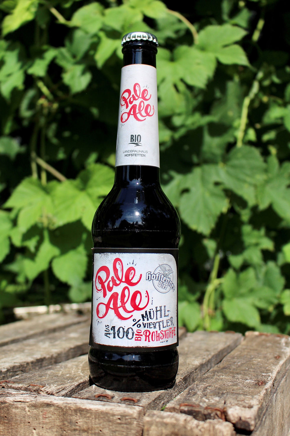 Pale Ale Longneck