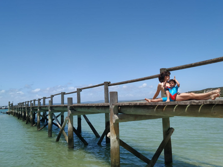 De profesión, intrusa