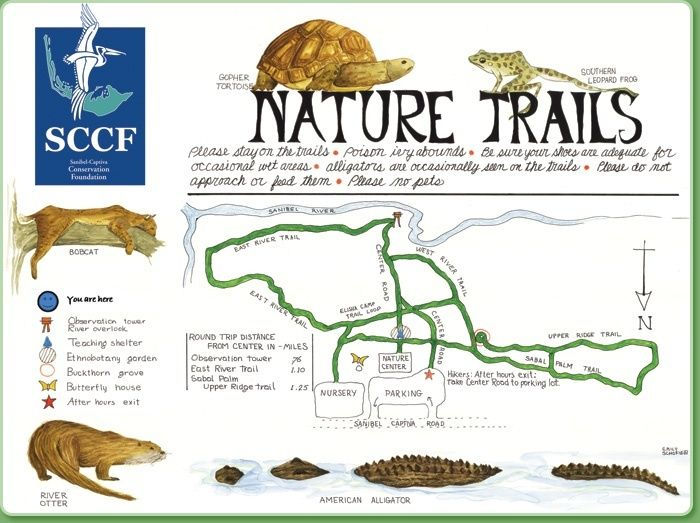 Nature Trails of Sanibel