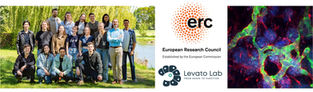PhD vacancy - ERC SMART-AGENT