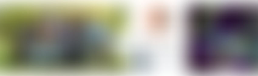 PhD vacancy - ERC SMART-AGENT