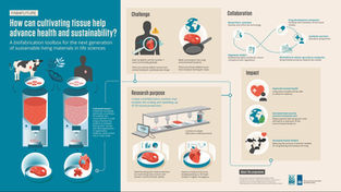 New tools for both cultivated meat and regenerative medicine