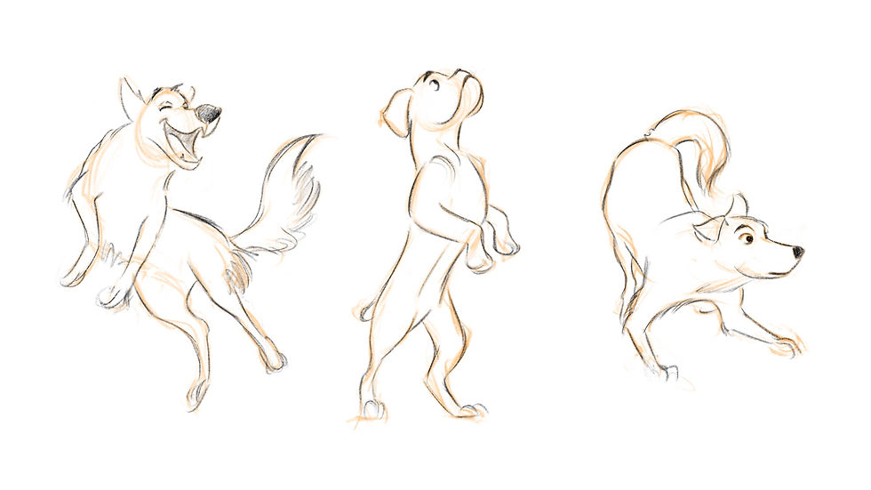 Animals 1