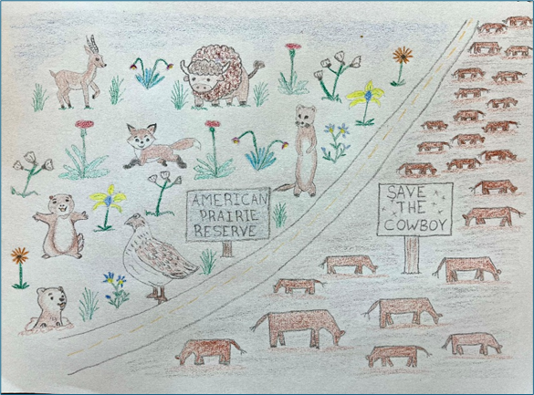 Eliminating cattle grazing on public lands and creating wildlife reserves would reduce our carbon footprint significantly and help wildlife recover.