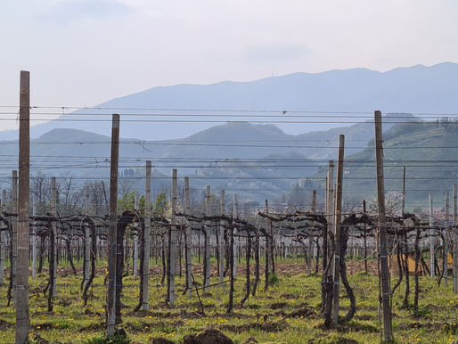 Valdobbiadene