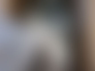 2024年🌸春🌸野草酵素のシーズン