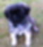 baby nev.jpg