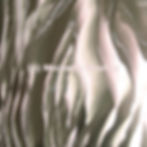 Silver Wood