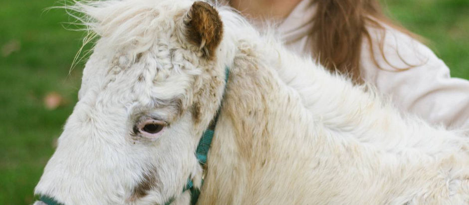 Meet Amanda: The Heart Behind the Care at Our Farm