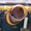 Thumbnail: Red Racer snail