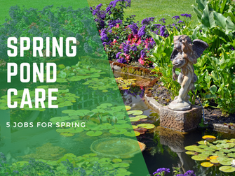 Spring pond care jobs