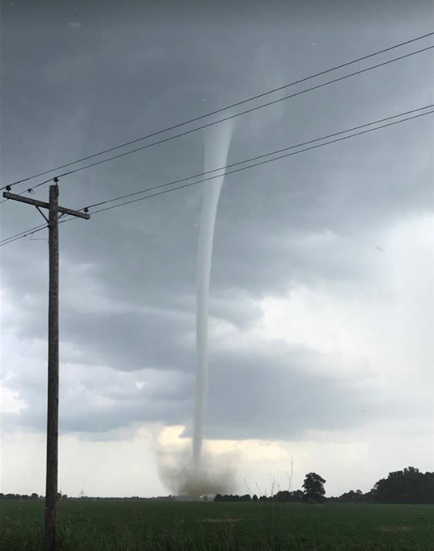 Near Des Arc - Kimberly Parchman