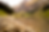 Untitled (Photo Book (11 x 8.5 in)) (1).png