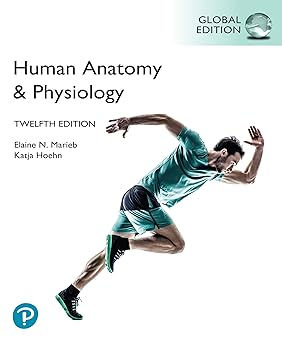 Human Anatomy & Physiology, Global Edition Paperback – 19 September 2022 by Elai