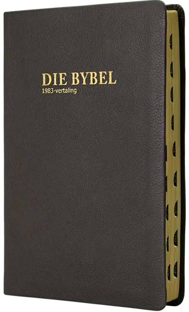 AFRIKAANS 1933/1953 VERTALING