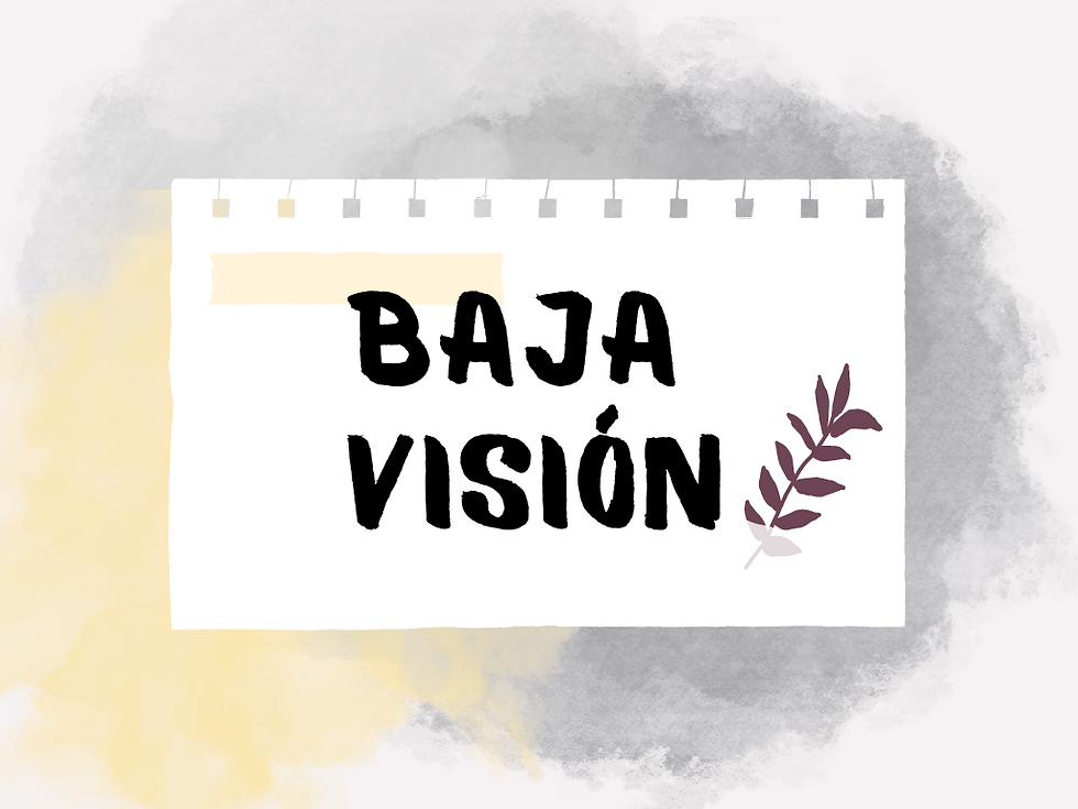 Baja Visión