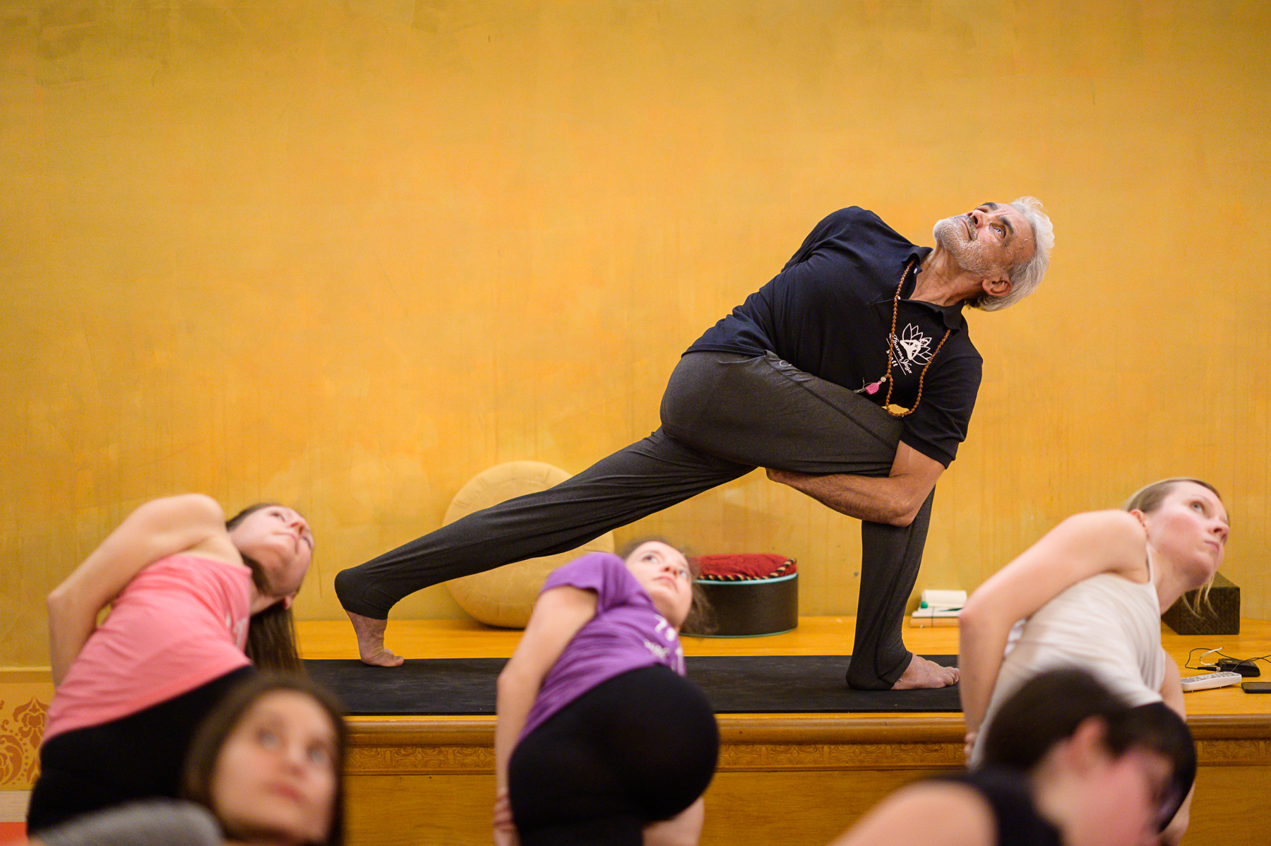 Yoga Intensive with Sri Dharma Mittra in Amsterdam