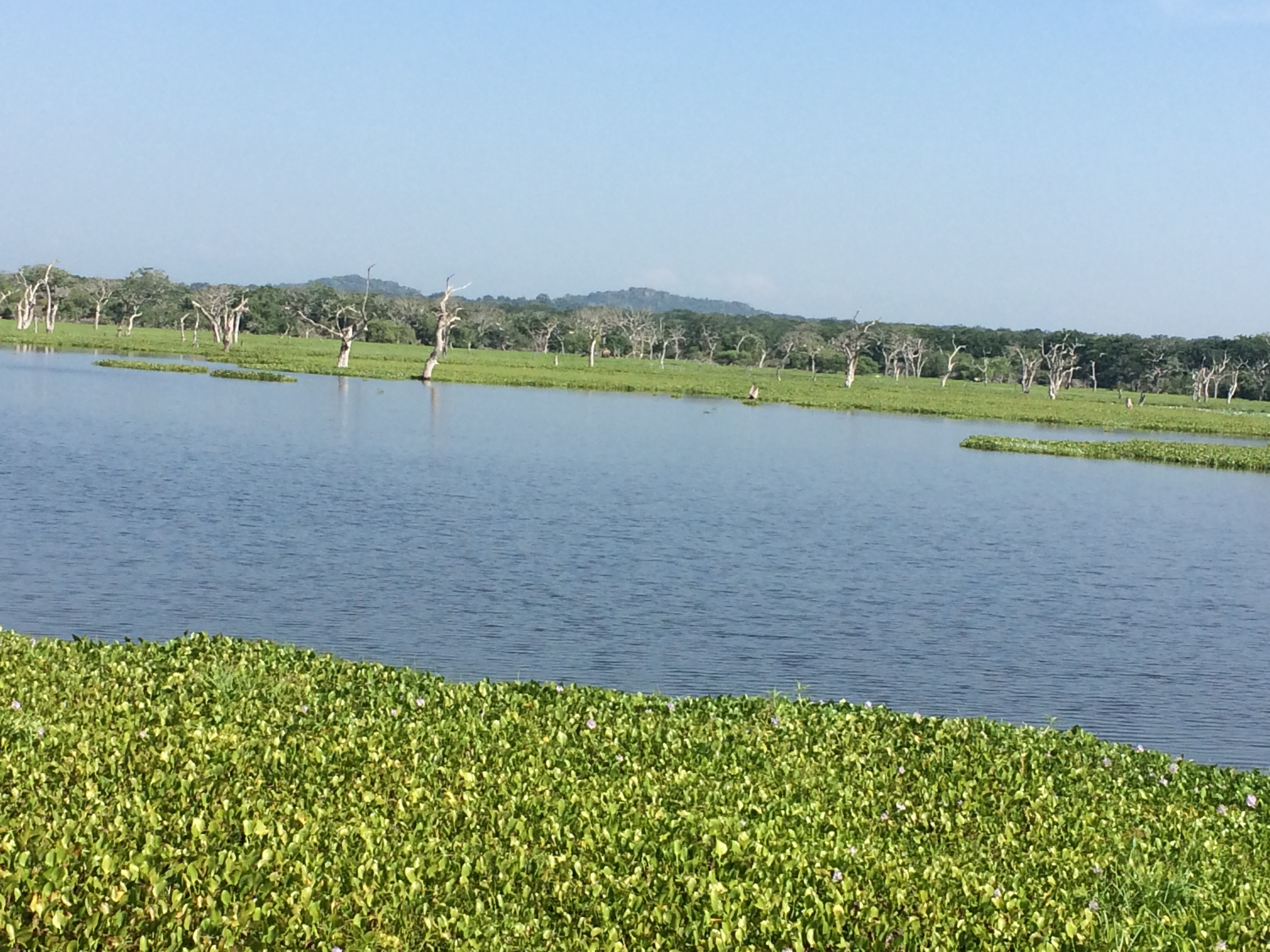 Sri Lanka