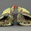 Thumbnail: Pair of Chinese Export Porcelain Famille Verte Parrots