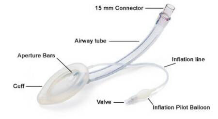 AIRWAY, LMA FLEX DISP SZ4 (10/BX) LMANOR