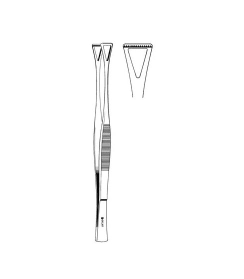 FORCEP, COLLIN-DUVAL JAW 25MM 8"