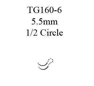SUTURE, ETHILON BLK MONO 10-0 TG160-6 (12/BX)