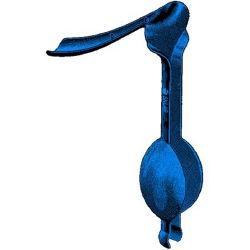SPECULUM, STEINER AUVARD XLNG