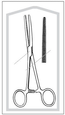 FORCEP, ROCH-PEAN STRT 6 1/4" (25/CS)