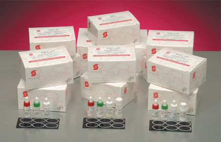 TEST KIT, RHEUMATOID FACTORS RAPET (50/KT) GDSTEC