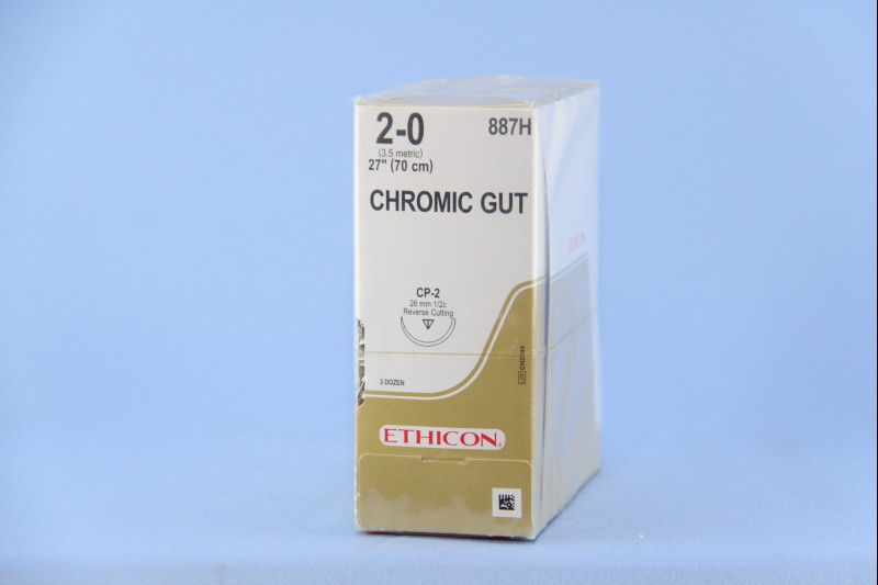 SUTURE, GUT CHR 2-0 27" CP-2 (36/BX)