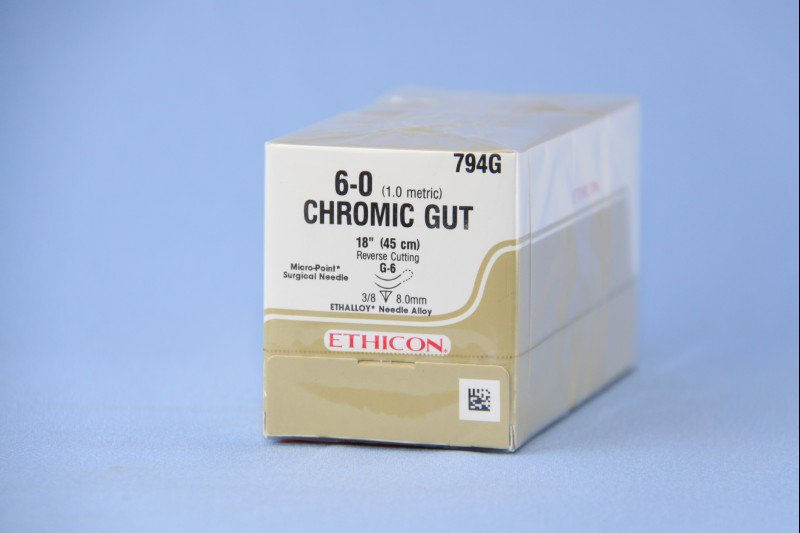 SUTURE, GUT CHR 6-0 18" G-6 (12/BX)