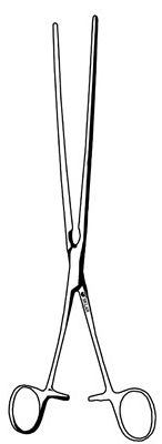 FORCEP, ATR COV INTESTINAL N/STR LF LG 10-1/2"