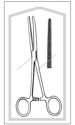 FORCEP, ROCHESTER PEAN CRVD STR 8 1/2" (25/CS)