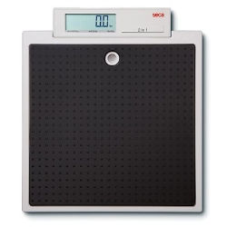 SCALE, FLAT W/INTEGRATED DISPLAY