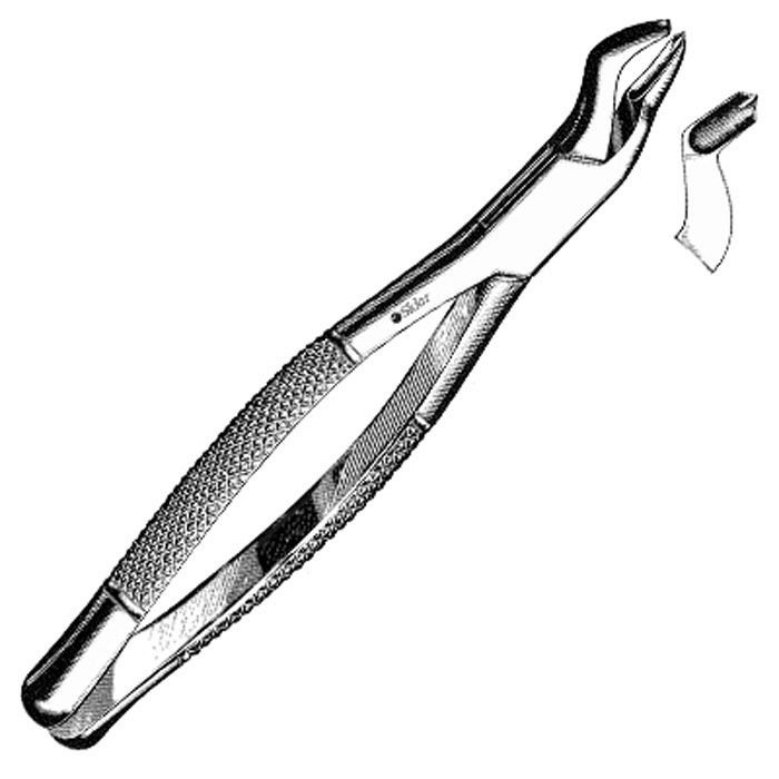 FORCEP, SURG #53 UPPER 1ST&2NDMOLAR ANGL RT