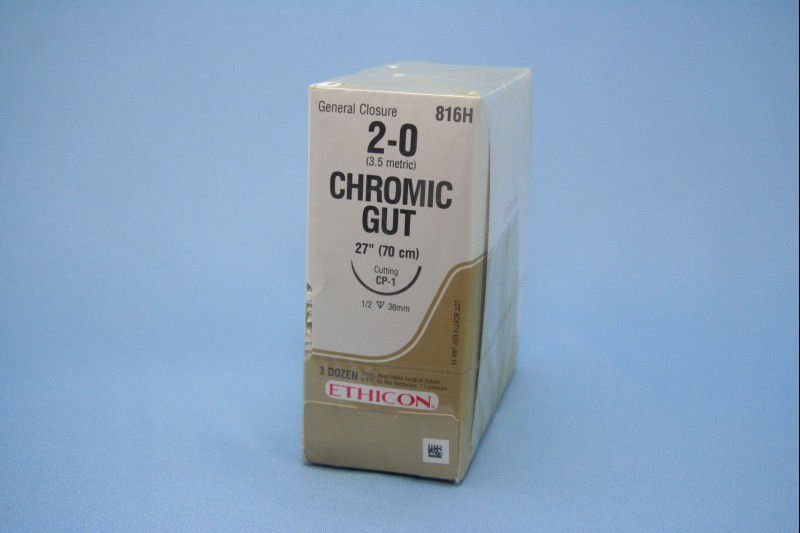 SUTURE, GUT CHR 2-0 27" CP-1 (36/BX)