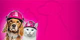 Empire_Hospital_Veterinario_Banner.jpg
