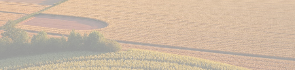 aerial view of cornfields for background.jpg