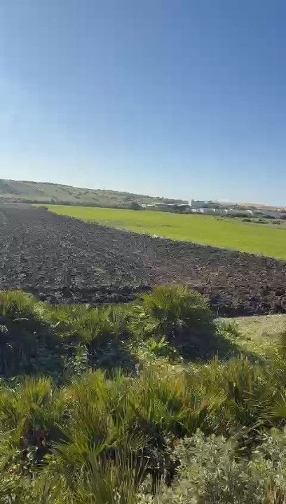 Miniature : Terrain à vendre