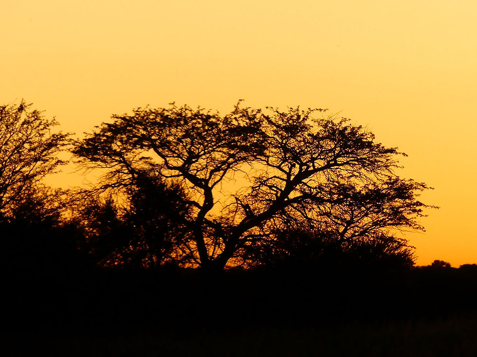 Kalahari