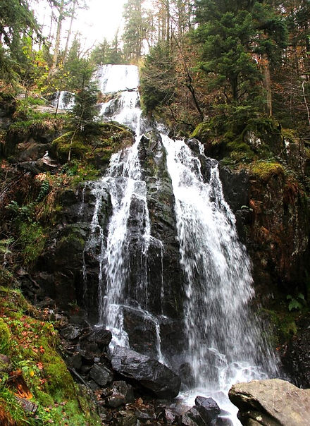 Cascade de tendon 