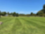Picture for website.jpg