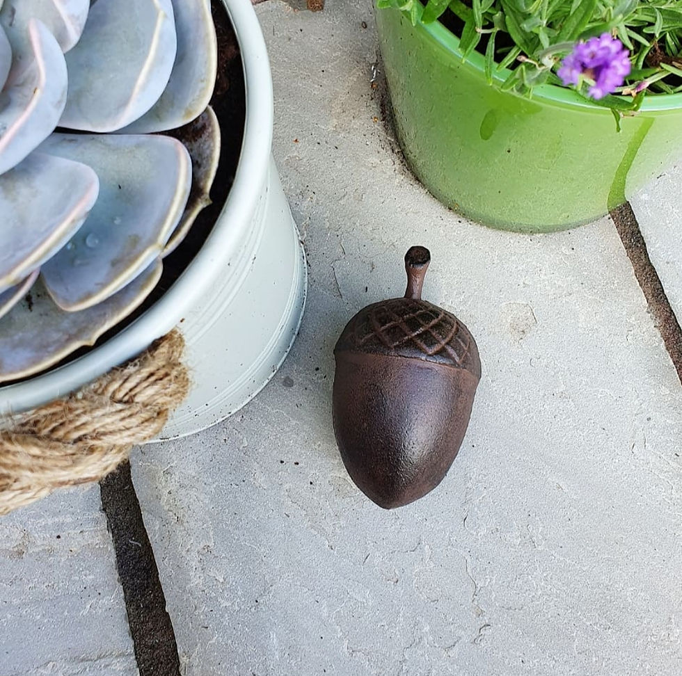 Thumbnail: Acorn Key Keeper