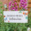 Thumbnail: Butterflies & Bees Wooden Hanging Sign