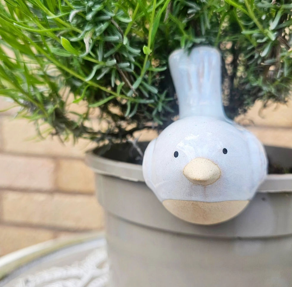 Thumbnail: Ceramic Bird Pot Hanger