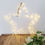 Thumbnail: Large White LED Star