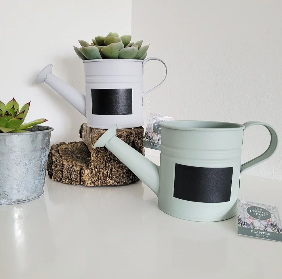 Thumbnail: Green Watering Can Planter