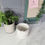 Thumbnail: Terrazzo Planter