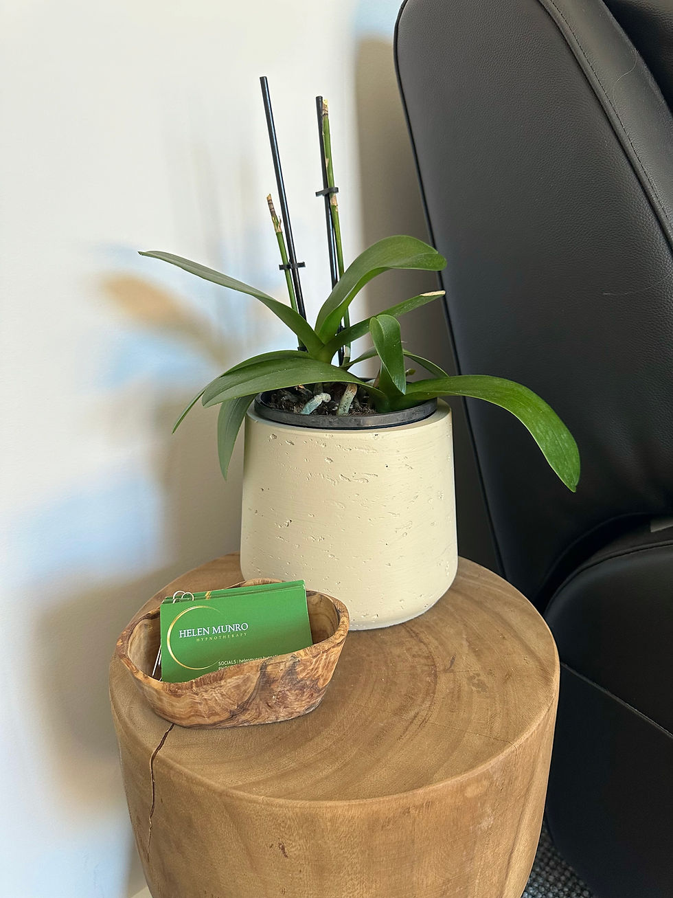 Plant and business card for Helen Munro