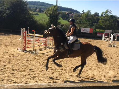 Quiriel auf dem 4. Platz in Springpferde A**